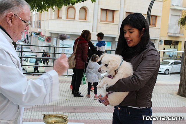 Bendicin de animales San Antn Totana 2019 - 347