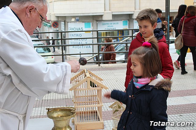 Bendicin de animales San Antn Totana 2019 - 351