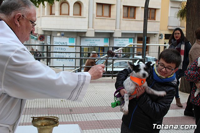 Bendicin de animales San Antn Totana 2019 - 355