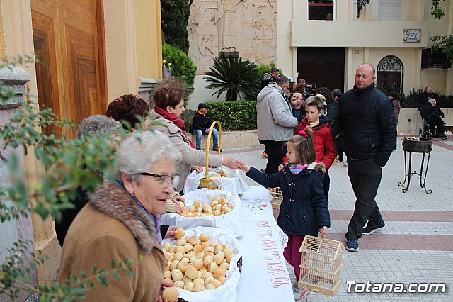 Bendicin de animales San Antn Totana 2019 - 356