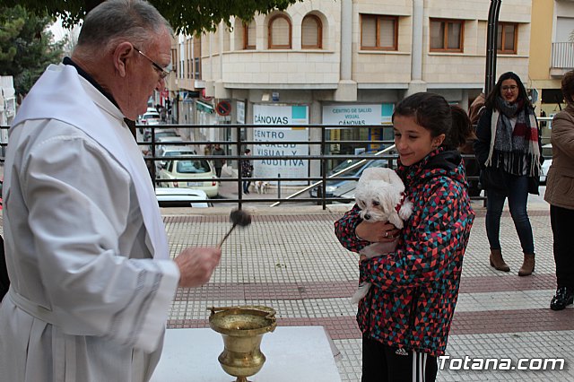 Bendicin de animales San Antn Totana 2019 - 357