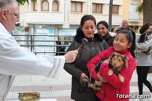 Bendicin de animales San Antn Totana 2019 - 365