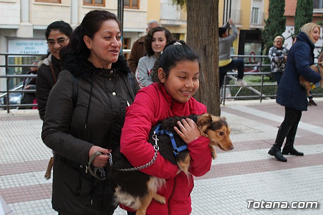 Bendicin de animales San Antn Totana 2019 - 368
