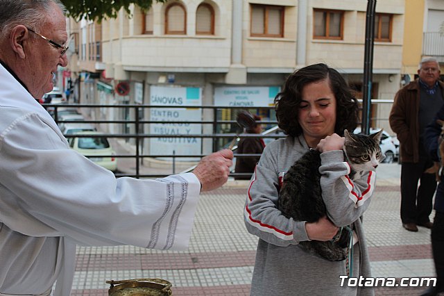 Bendicin de animales San Antn Totana 2019 - 371
