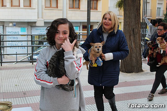 Bendicin de animales San Antn Totana 2019 - 372