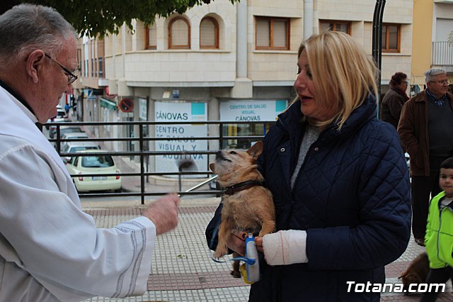 Bendicin de animales San Antn Totana 2019 - 374