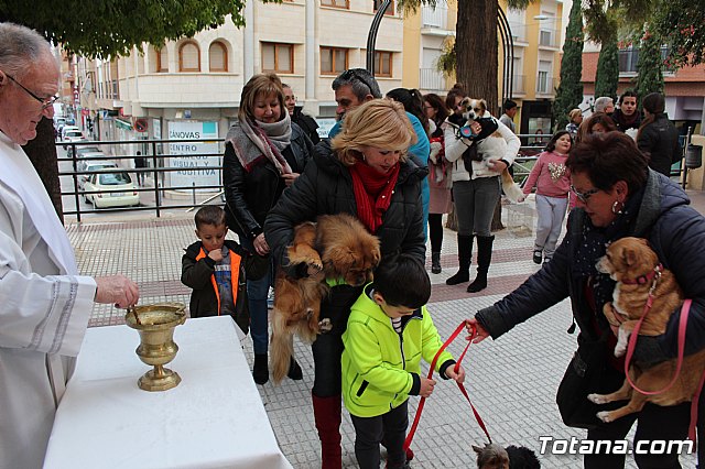 Bendicin de animales San Antn Totana 2019 - 381