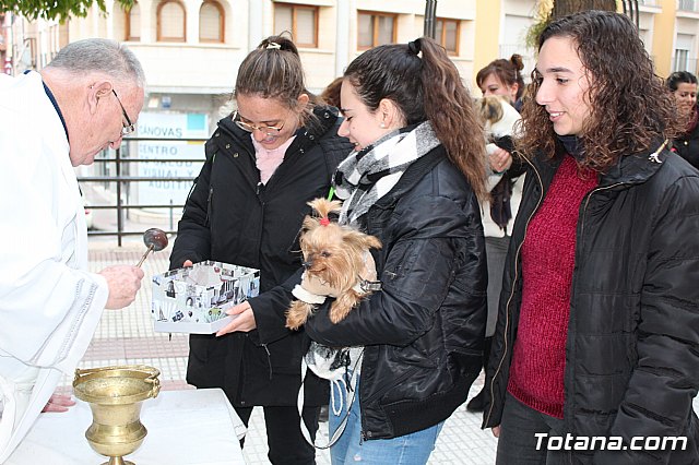 Bendicin de animales San Antn Totana 2019 - 384