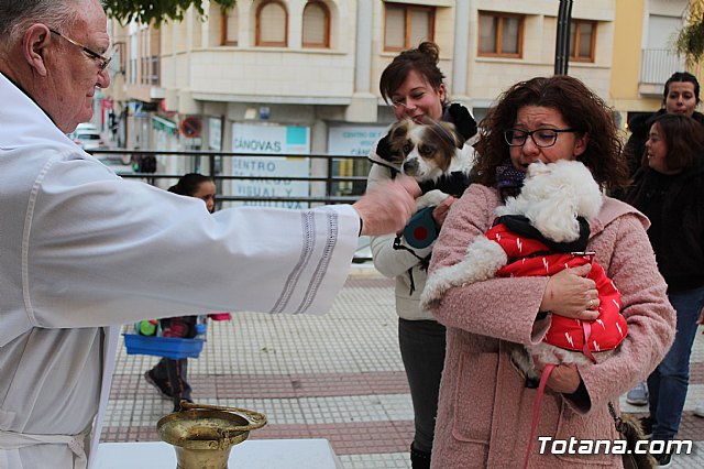 Bendicin de animales San Antn Totana 2019 - 387