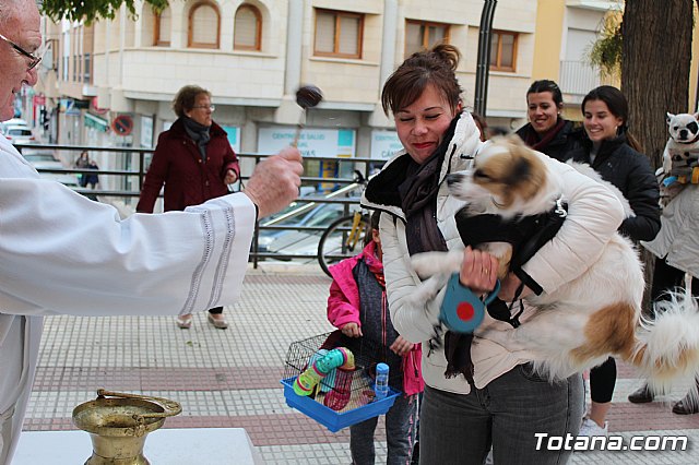Bendicin de animales San Antn Totana 2019 - 389