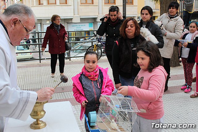 Bendicin de animales San Antn Totana 2019 - 390