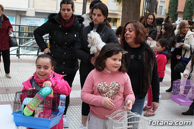 Bendicin de animales San Antn Totana 2019 - 392