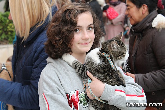 Bendicin de animales San Antn Totana 2019 - 394