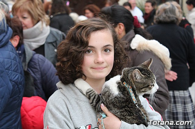 Bendicin de animales San Antn Totana 2019 - 395