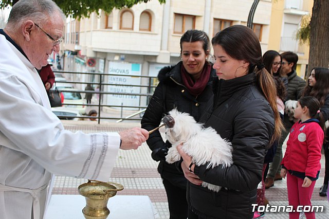 Bendicin de animales San Antn Totana 2019 - 396