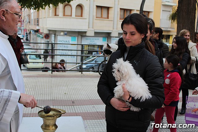 Bendicin de animales San Antn Totana 2019 - 397