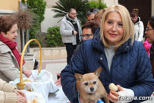 Bendicin de animales San Antn Totana 2019 - 398