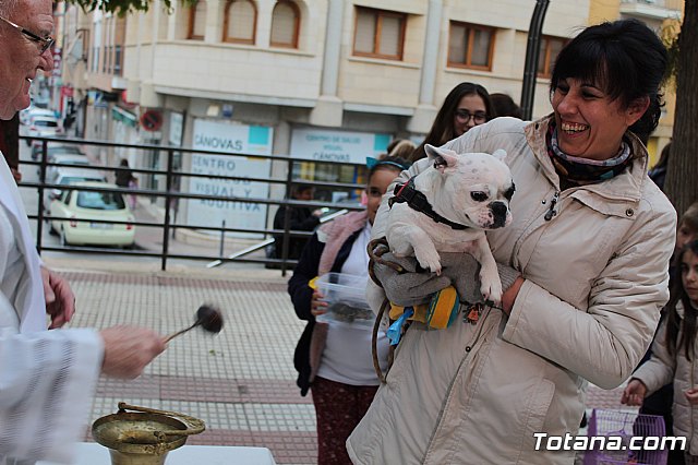 Bendicin de animales San Antn Totana 2019 - 400