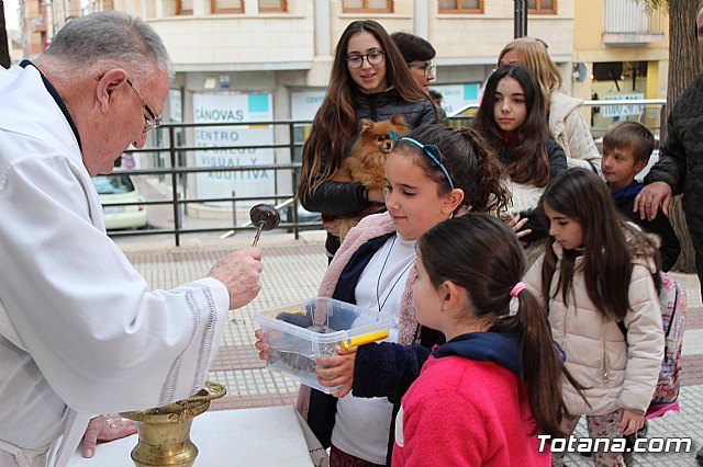 Bendicin de animales San Antn Totana 2019 - 402