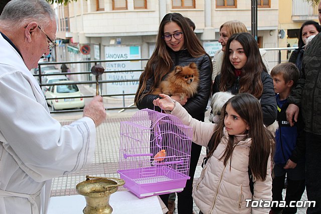 Bendicin de animales San Antn Totana 2019 - 404