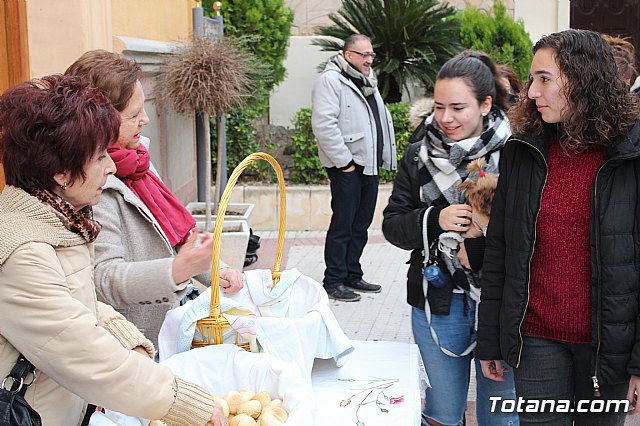 Bendicin de animales San Antn Totana 2019 - 407