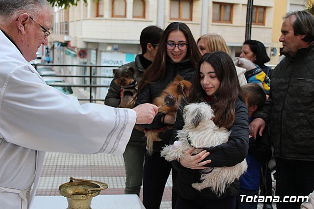 Bendicin de animales San Antn Totana 2019 - 408
