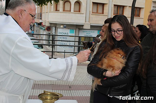 Bendicin de animales San Antn Totana 2019 - 410