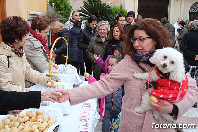 Bendicin de animales San Antn Totana 2019 - 414