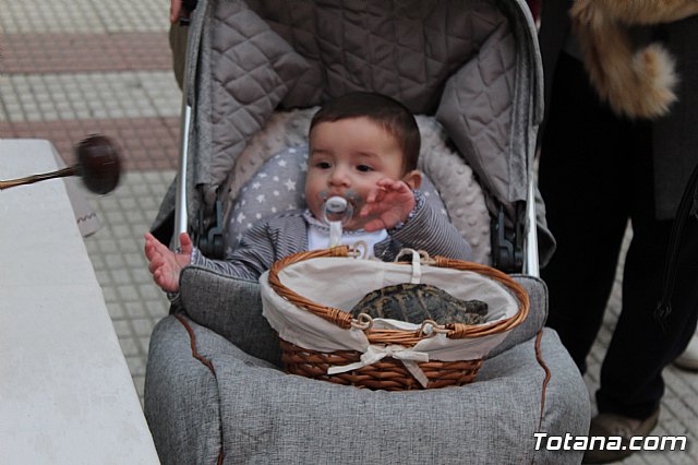 Bendicin de animales San Antn Totana 2019 - 419