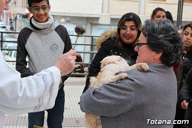Bendicin de animales San Antn Totana 2019 - 420