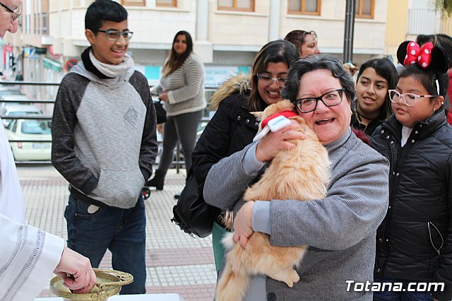 Bendicin de animales San Antn Totana 2019 - 421