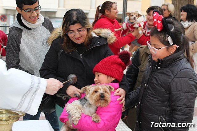 Bendicin de animales San Antn Totana 2019 - 422