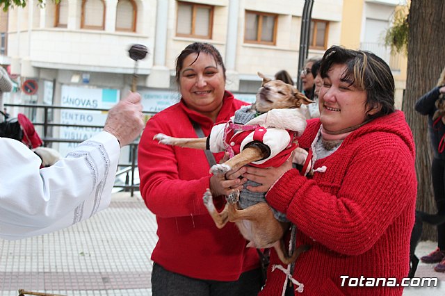 Bendicin de animales San Antn Totana 2019 - 423