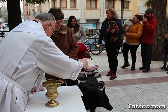 Bendicin de animales San Antn Totana 2019 - 430