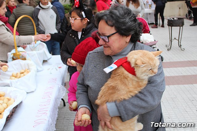 Bendicin de animales San Antn Totana 2019 - 432