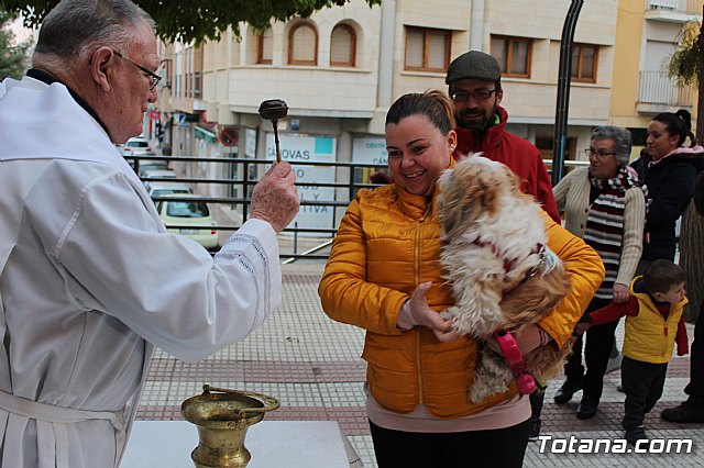 Bendicin de animales San Antn Totana 2019 - 433