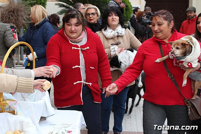 Bendicin de animales San Antn Totana 2019 - 435