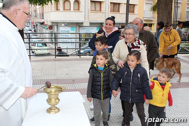 Bendicin de animales San Antn Totana 2019 - 436