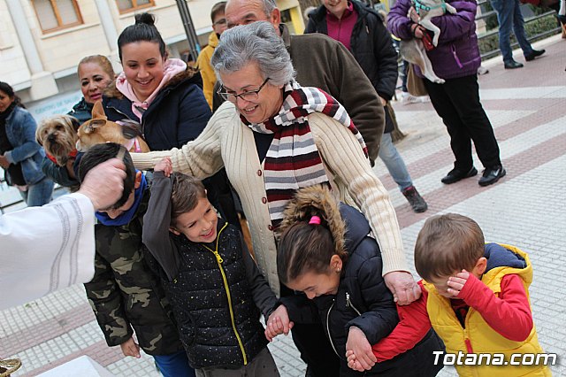 Bendicin de animales San Antn Totana 2019 - 437
