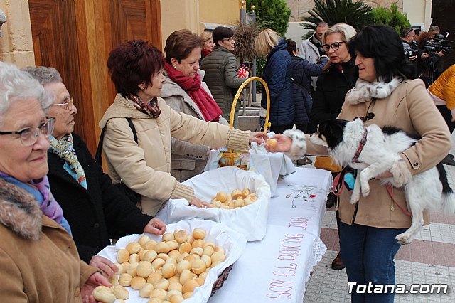 Bendicin de animales San Antn Totana 2019 - 438