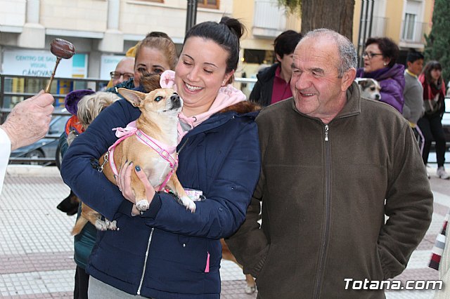 Bendicin de animales San Antn Totana 2019 - 439