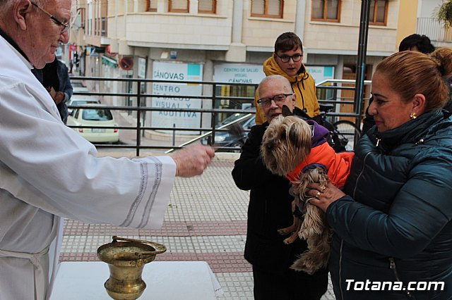 Bendicin de animales San Antn Totana 2019 - 440