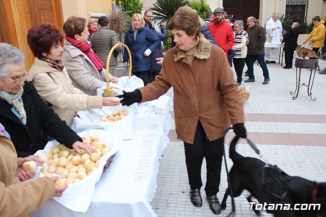 Bendicin de animales San Antn Totana 2019 - 441