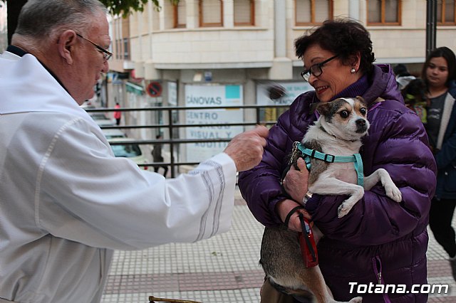 Bendicin de animales San Antn Totana 2019 - 445