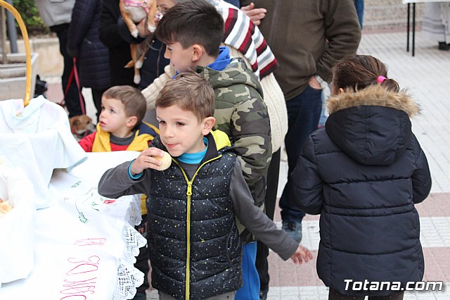 Bendicin de animales San Antn Totana 2019 - 447