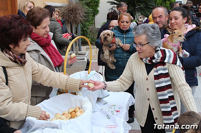 Bendicin de animales San Antn Totana 2019 - 450