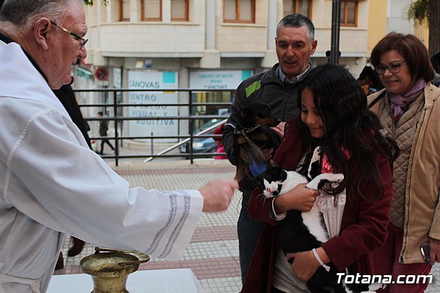 Bendicin de animales San Antn Totana 2019 - 453