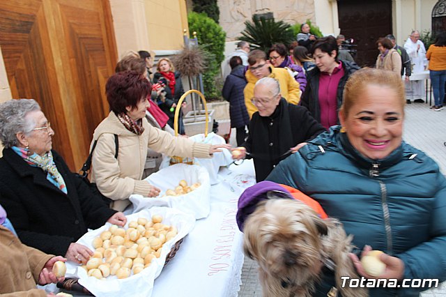 Bendicin de animales San Antn Totana 2019 - 455