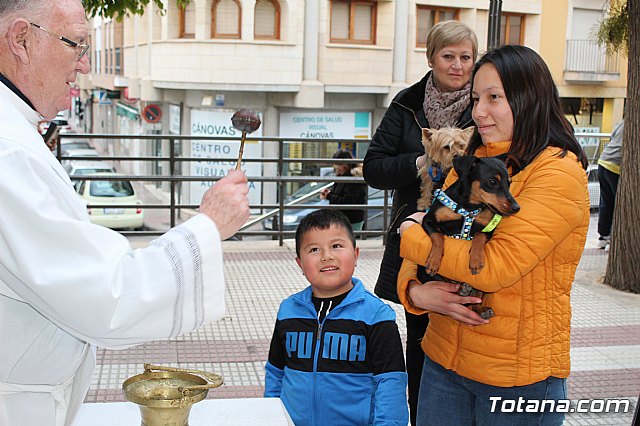 Bendicin de animales San Antn Totana 2019 - 456