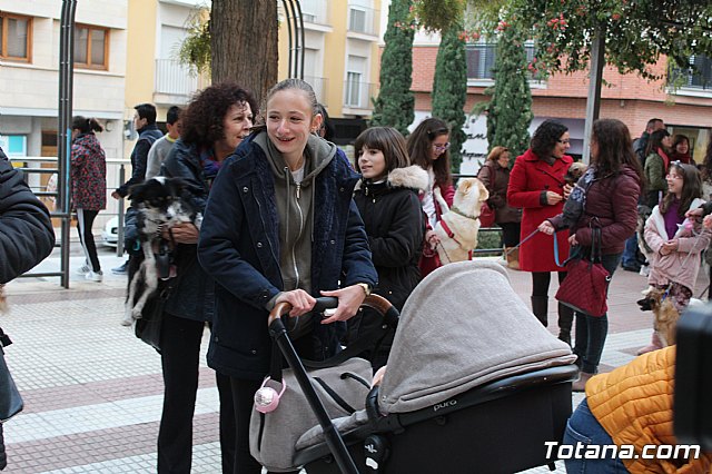 Bendicin de animales San Antn Totana 2019 - 458